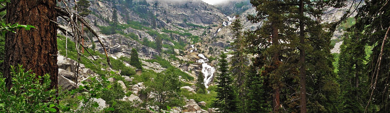 Green foliage in the foreground leading to a waterfall at the end of a canyon