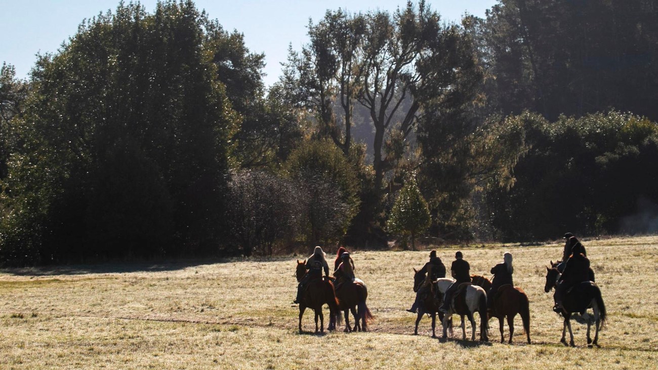 Nine silhouetted horse riders ride through a golden field bordered by tall dark green trees.