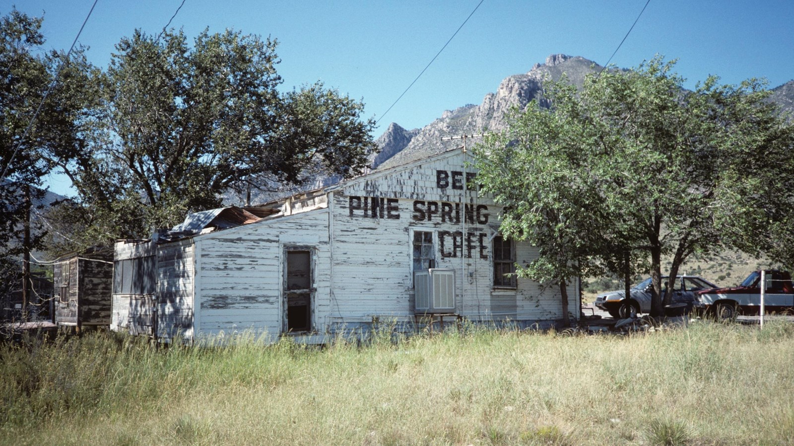 A wooden building in poor condition with peeling paint of the text: Beer. Pine Springs. Cafe.