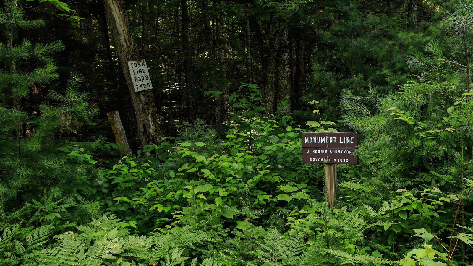 Two signs in the woods, one posted shows the monument line, another indicates the town lines