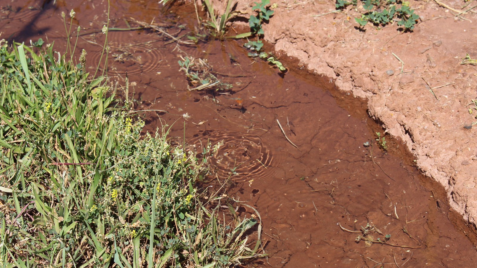 Hand dug dirt irrigation ditch filled with water