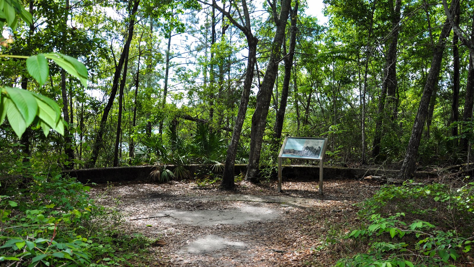 A clearing with a sign in the middle is surrounded by trees.