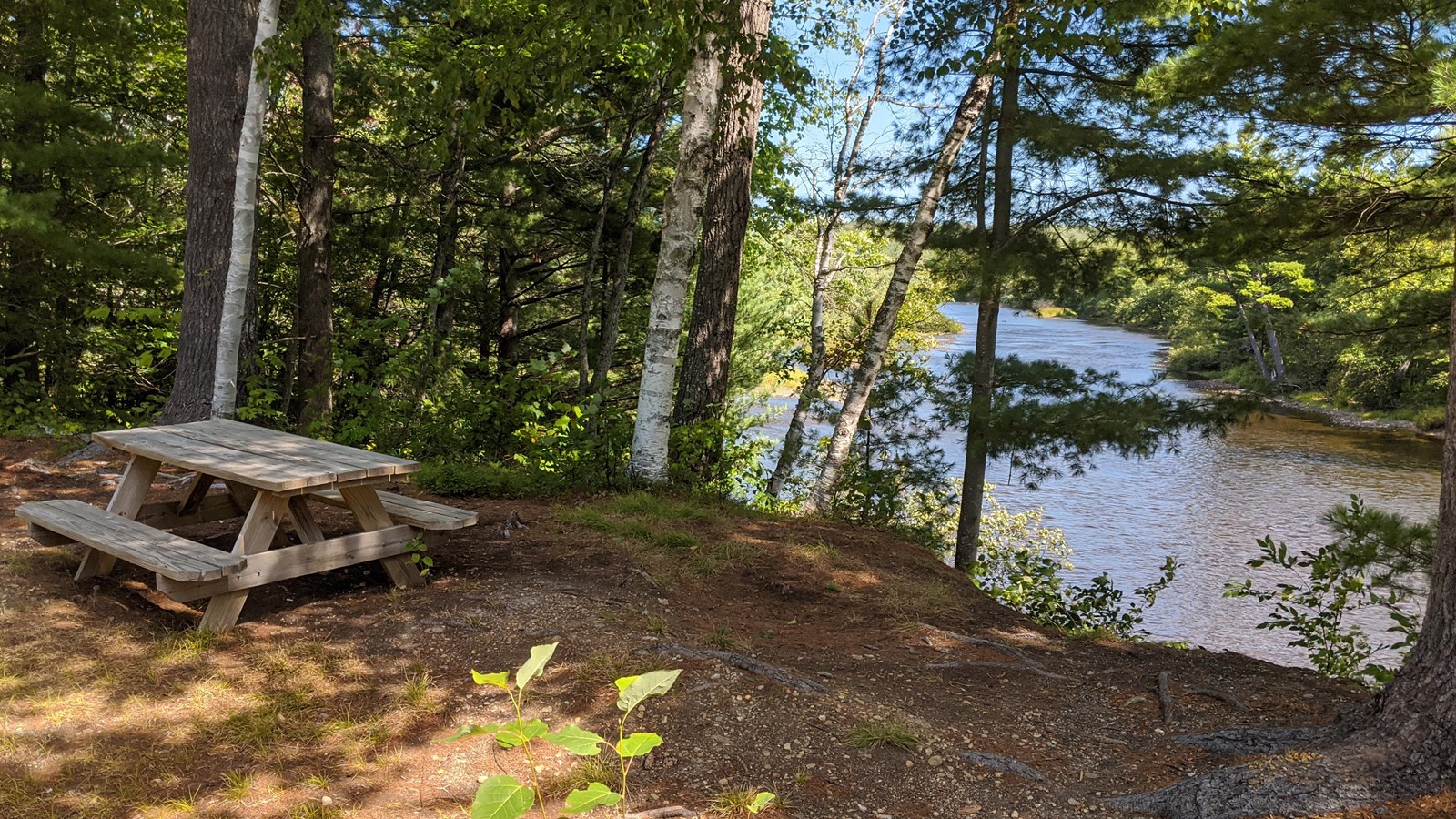 A shaded spot on a river embankment overlooks a meandering river