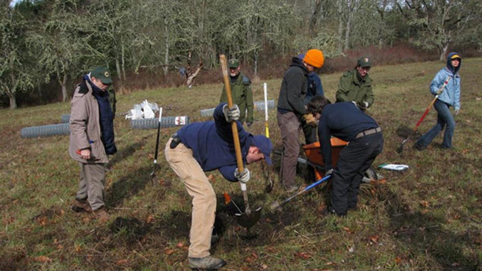 Color photograph of a group of six people on a green area engaged in planting a tree