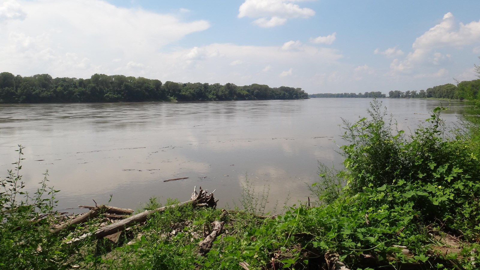 Large gray river with trees across the river