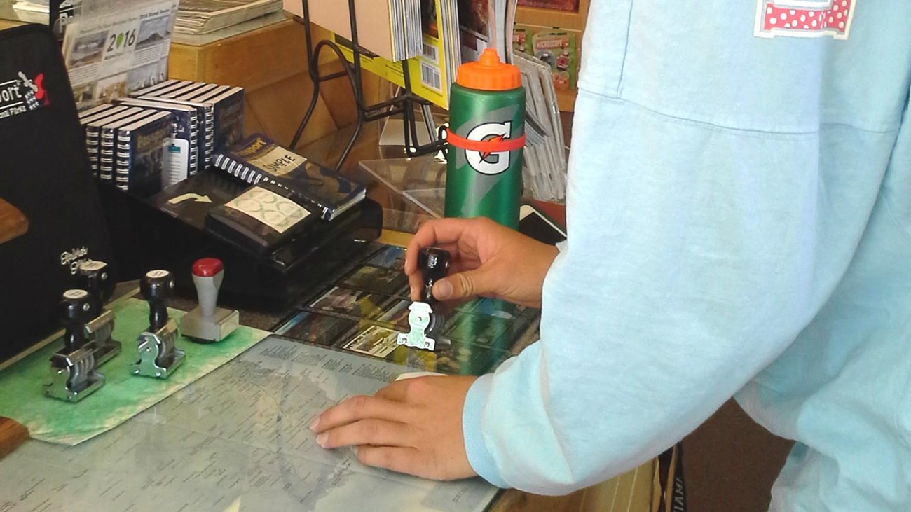 Woman inside stamping in booklet on counter, displays in background.