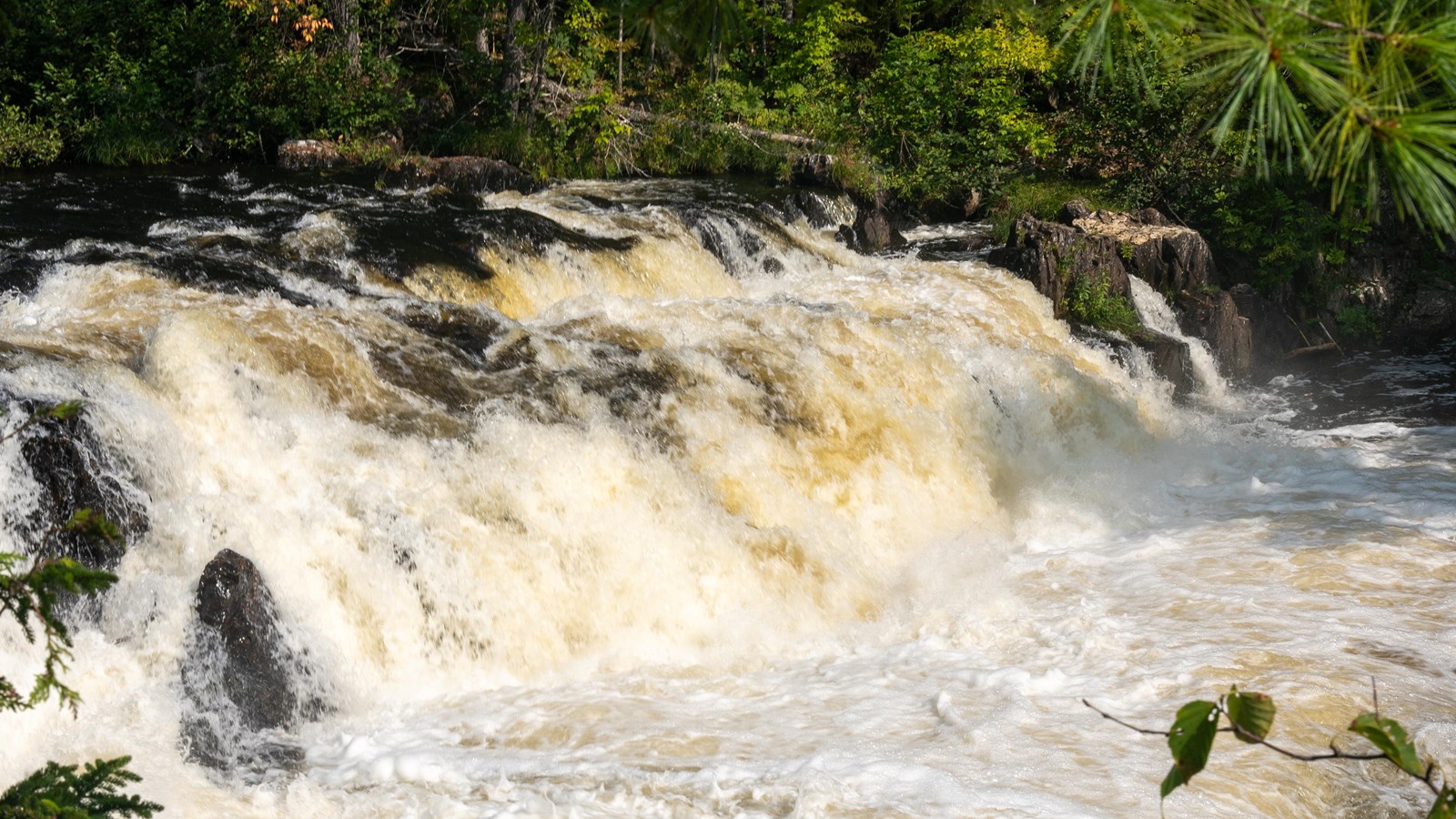 White water drops down a waterfall flowing through the forest