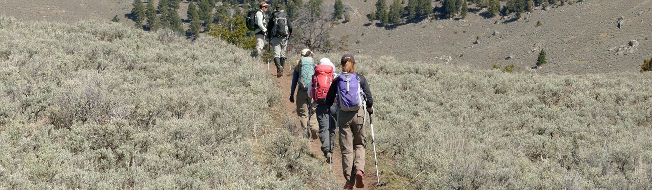 Hikers along a tan, bare ground trail through sagebrush.