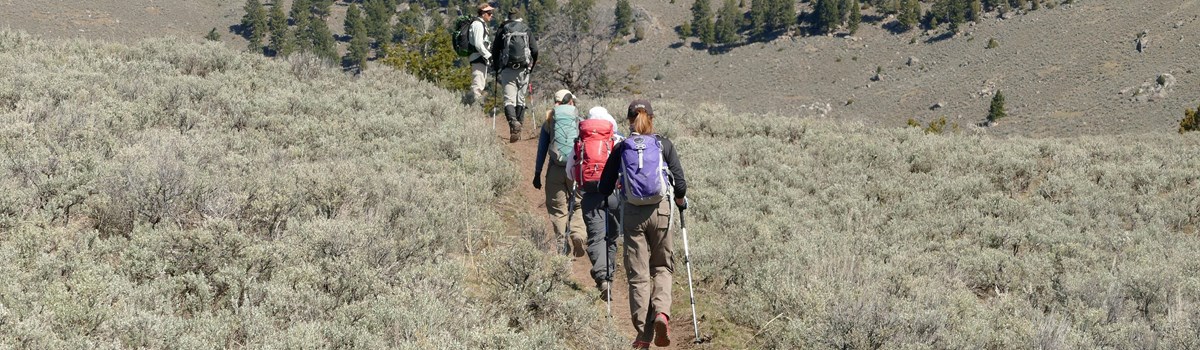 Hikers along a tan, bare ground trail through sagebrush.