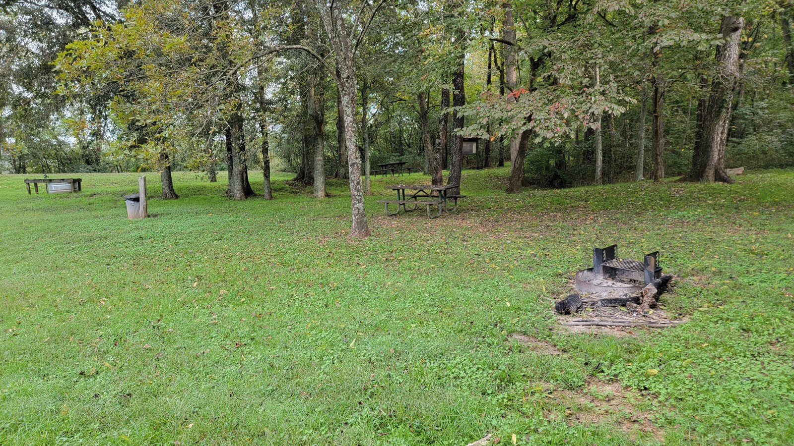 A picnic table, and fire grill in front of a grove of trees.