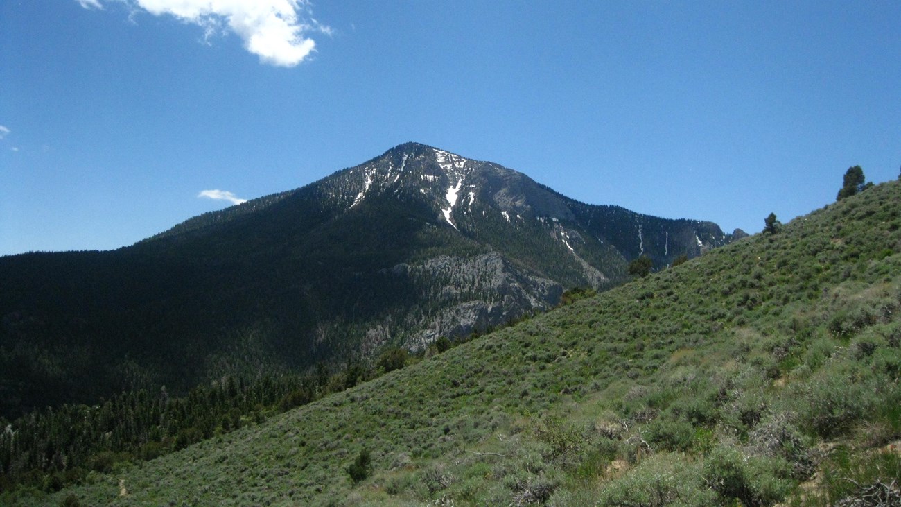 Green meadow with mountain peak in background 