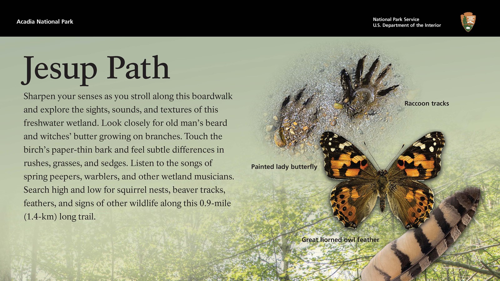 Partial image of an interpretive wayside entitled 