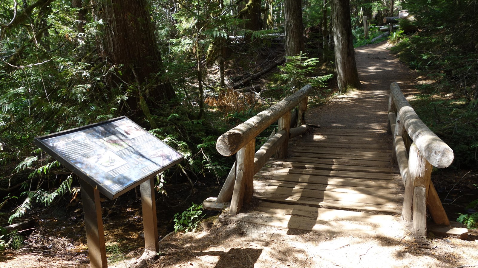 An exhibit panel next to a trail and a small wood bridge over a creek in a forest. 
