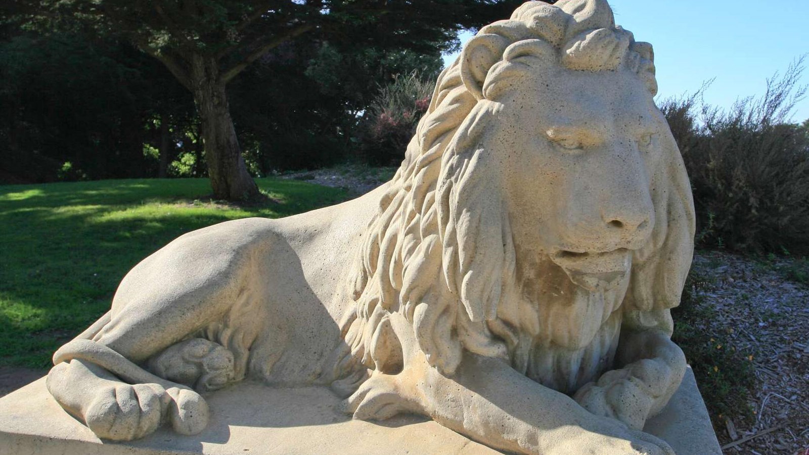  A replica of the lion statues that once greeted visitors at the entrance to Sutro Heights.