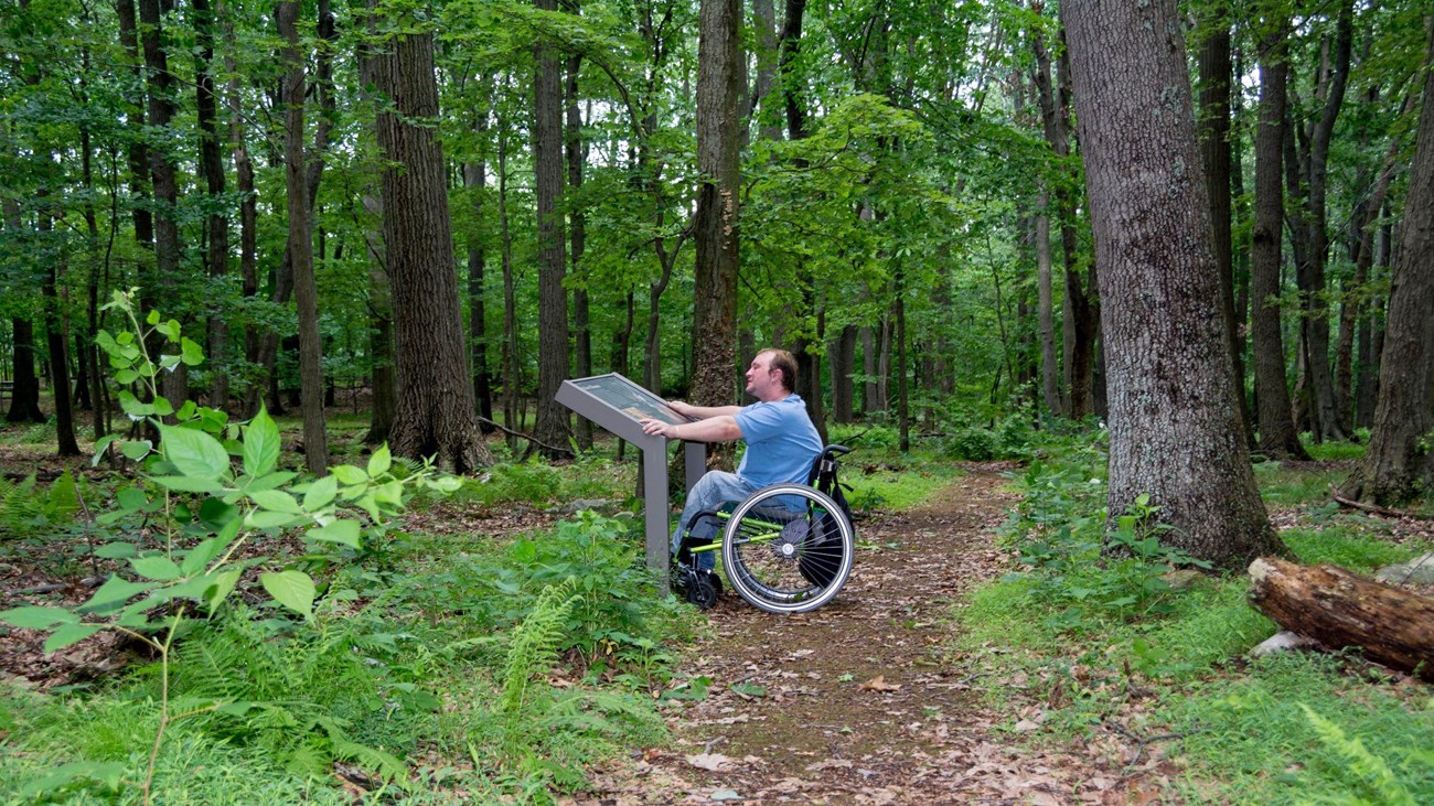 A man sitting in a wheelchair reading a wayside panel in a forest.