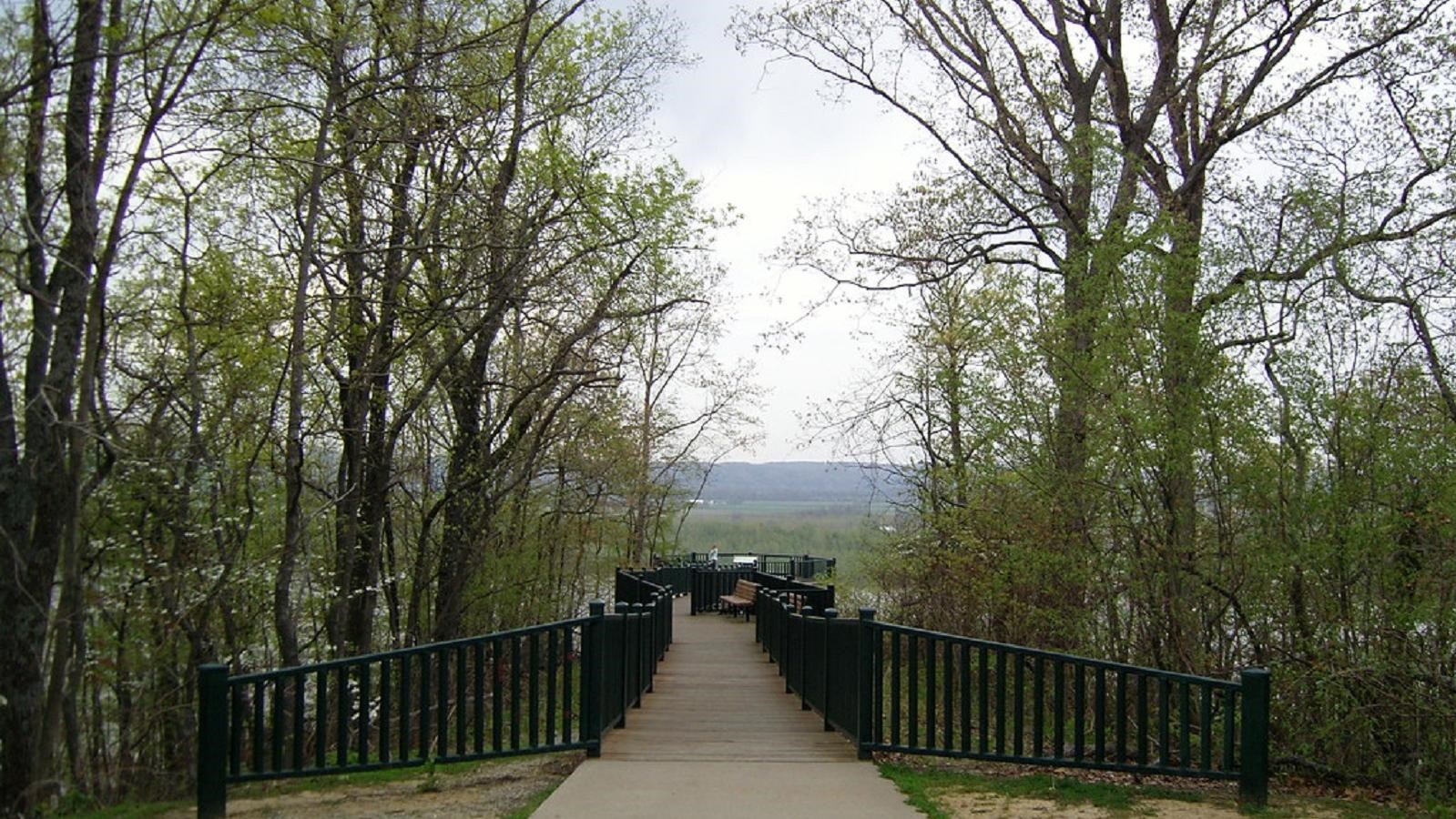 A paved trail lined with a handrail leads between two copses of trees into a valley. 