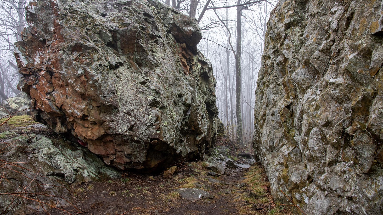 Two large boulders on a foggy hiking trail.