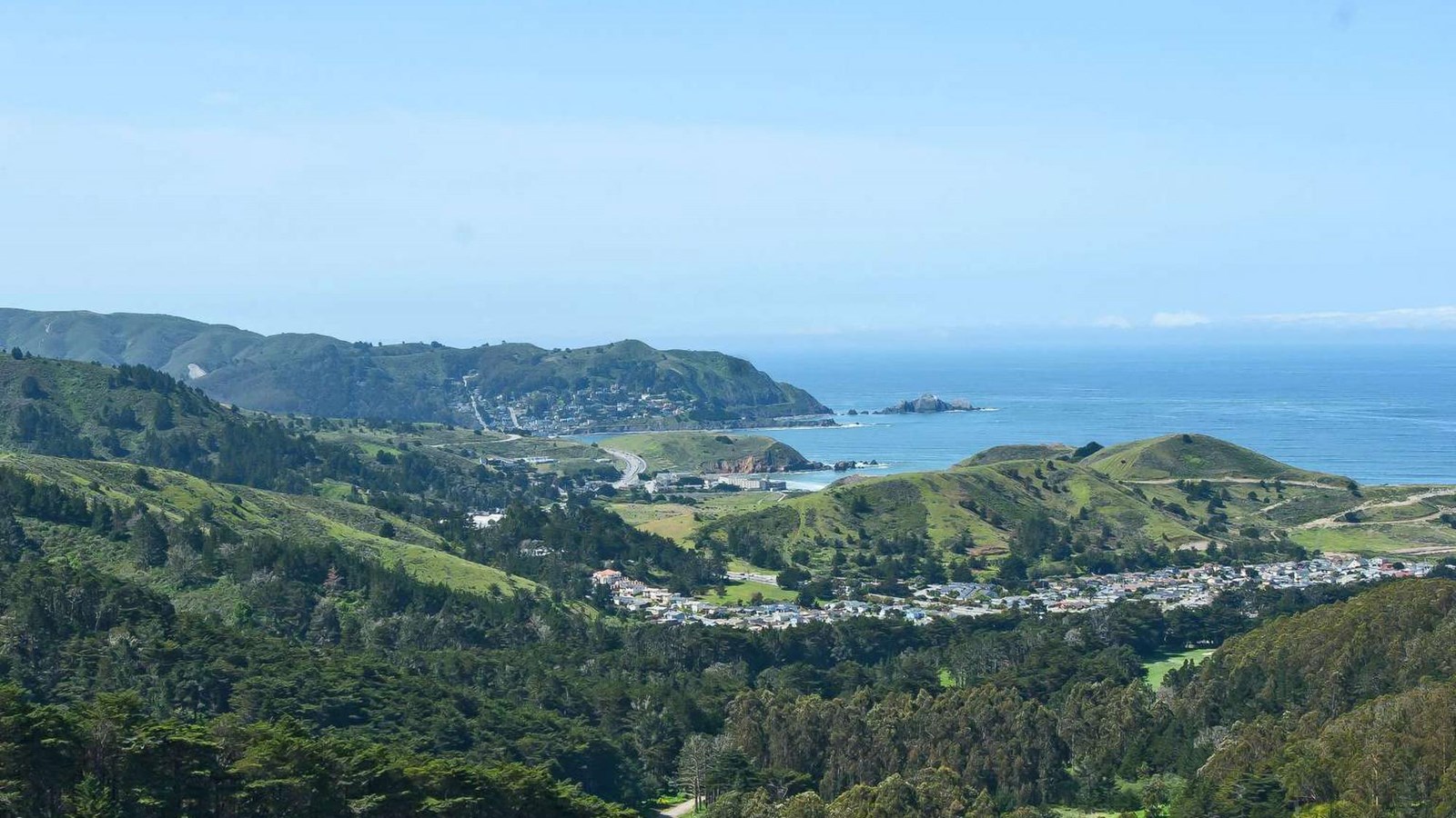  A view of thick clustered Monterey pines and eucalyptus trees, looking towards the ocean.