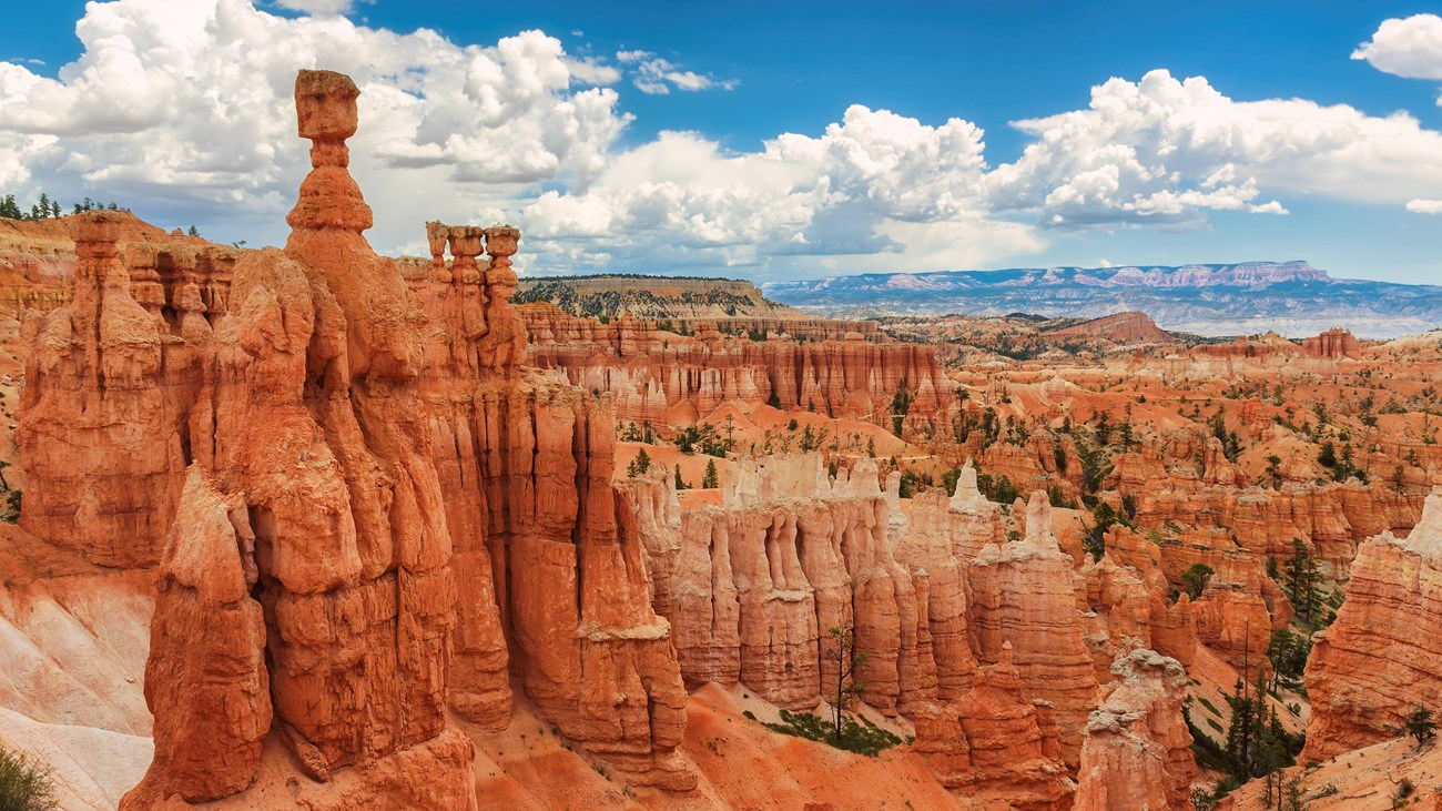 A view over a landscape filled with red rock formations with the iconic thor\'s hammer formation.