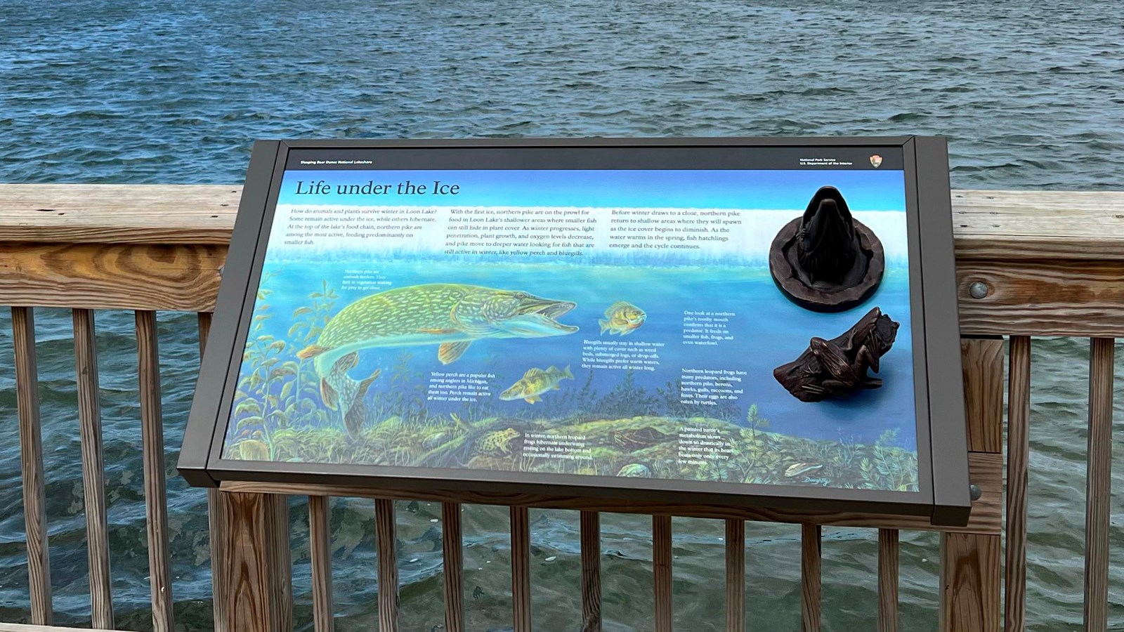 A wayside affixed to a wooden platform dock in a lake. Full audio description in place asset