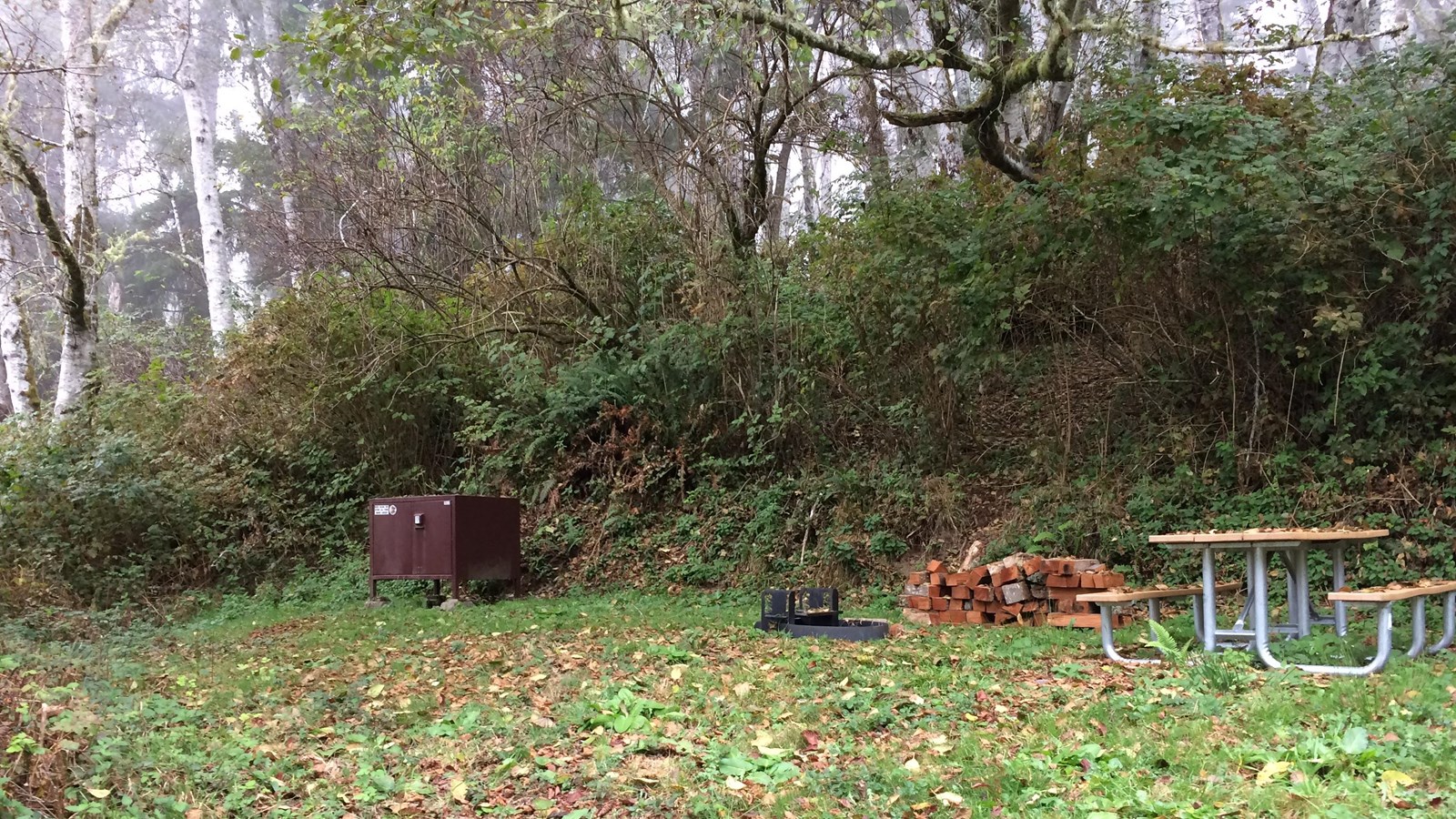 A brown bearproof box, a pile of wood and picnic table next to brush and trees.