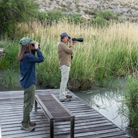 Birdwatchers use a camera and binoculars to look for birds along the RGV Nature Trail.