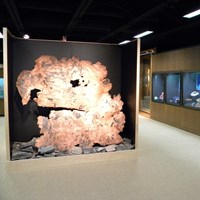 A Large piece of illuminated copper on the left as mineral displays in cabinets line the right.