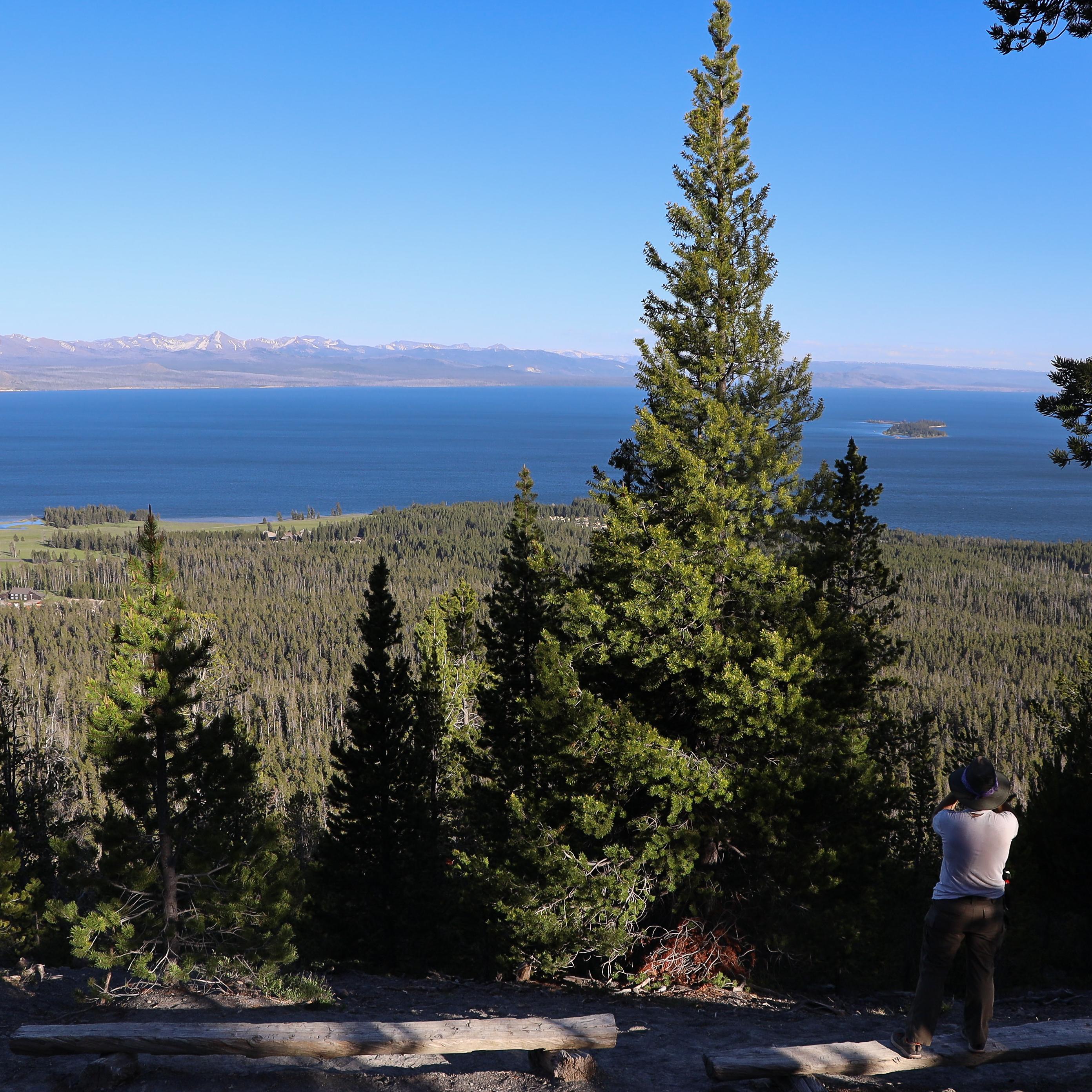 A hiker looks down from a vantage point across a forest to a large lake.