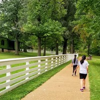 Two women walking on a stone path surrounded by trees