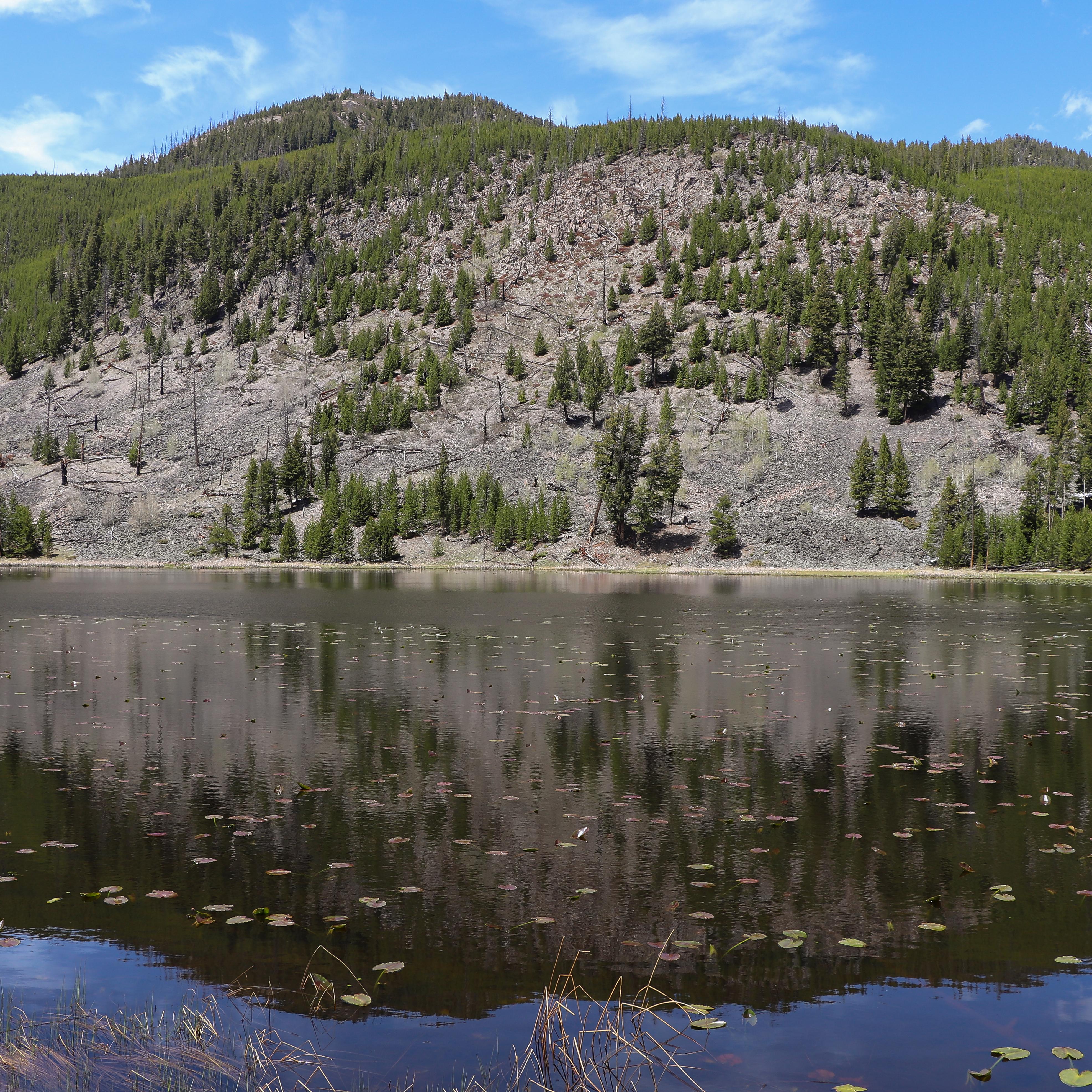 Lily pads dot a lake at the base of a slopping cliff.