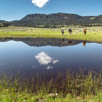 Three people hike past a pond in a meadow with a forested mountain in the distance.