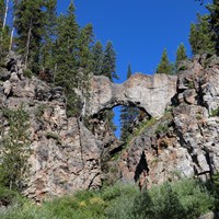 A natural bridge formation made of rock in a forest.