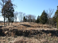 Large, rectangular earthworks covered by tall grass with trees growing along the ridges.