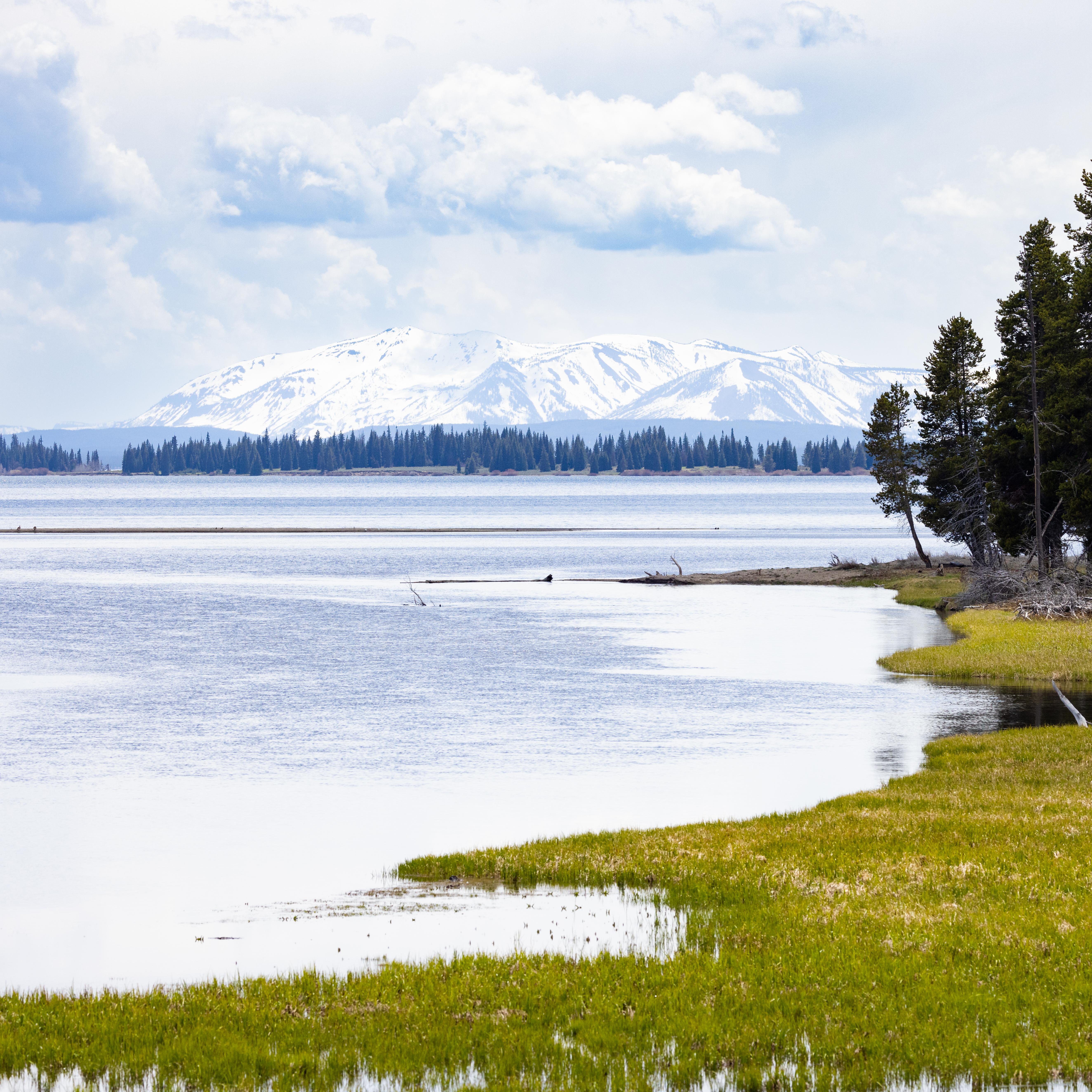A creek spills into a large lake with mountains in the distance.