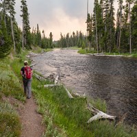 A hiker follows a trail alongside a river through a forest.