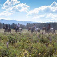 People on horseback ride through a field of sagebrush with mountains in the distance.