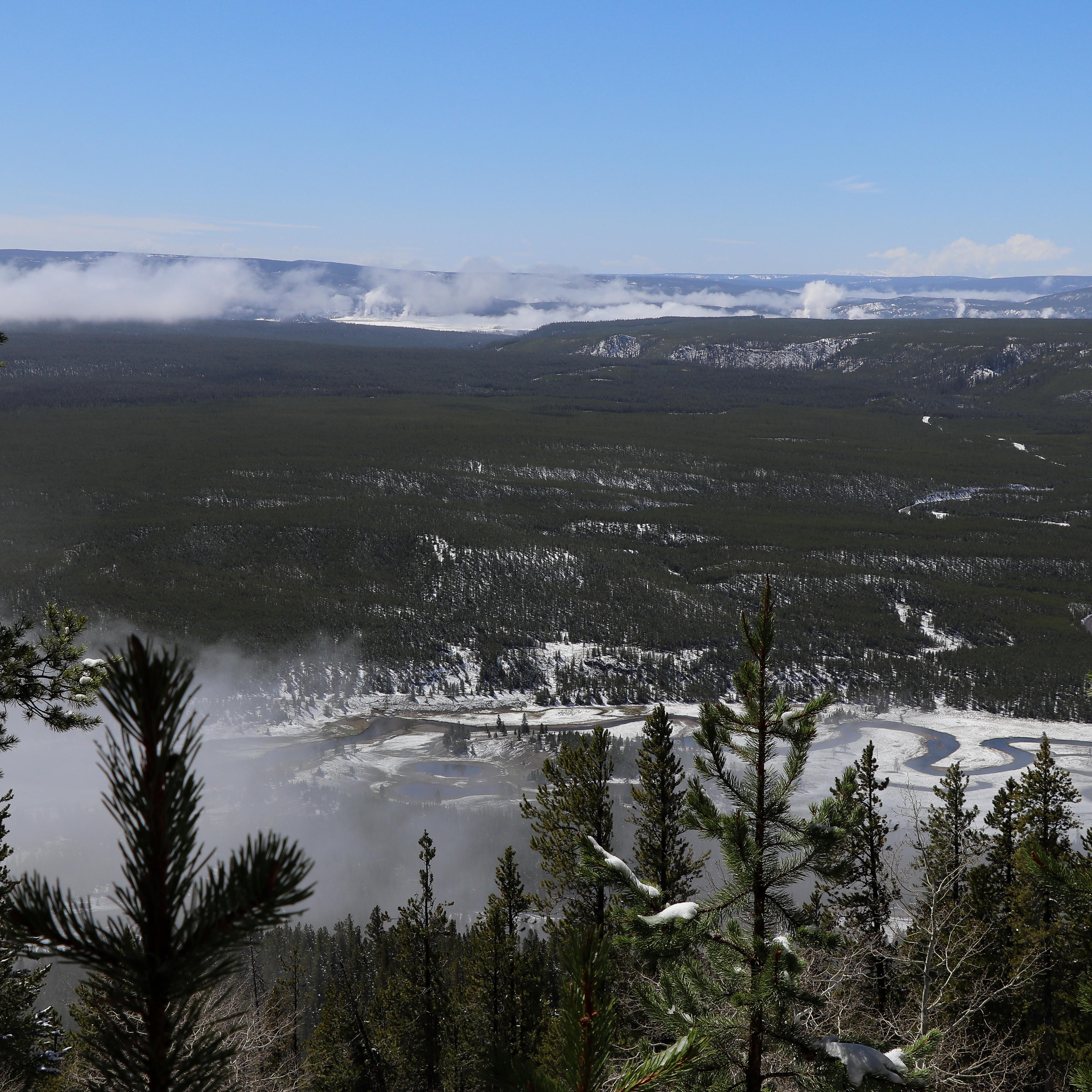 Steam from geyser basins dot a forested landscape as viewed from a mountain summit.
