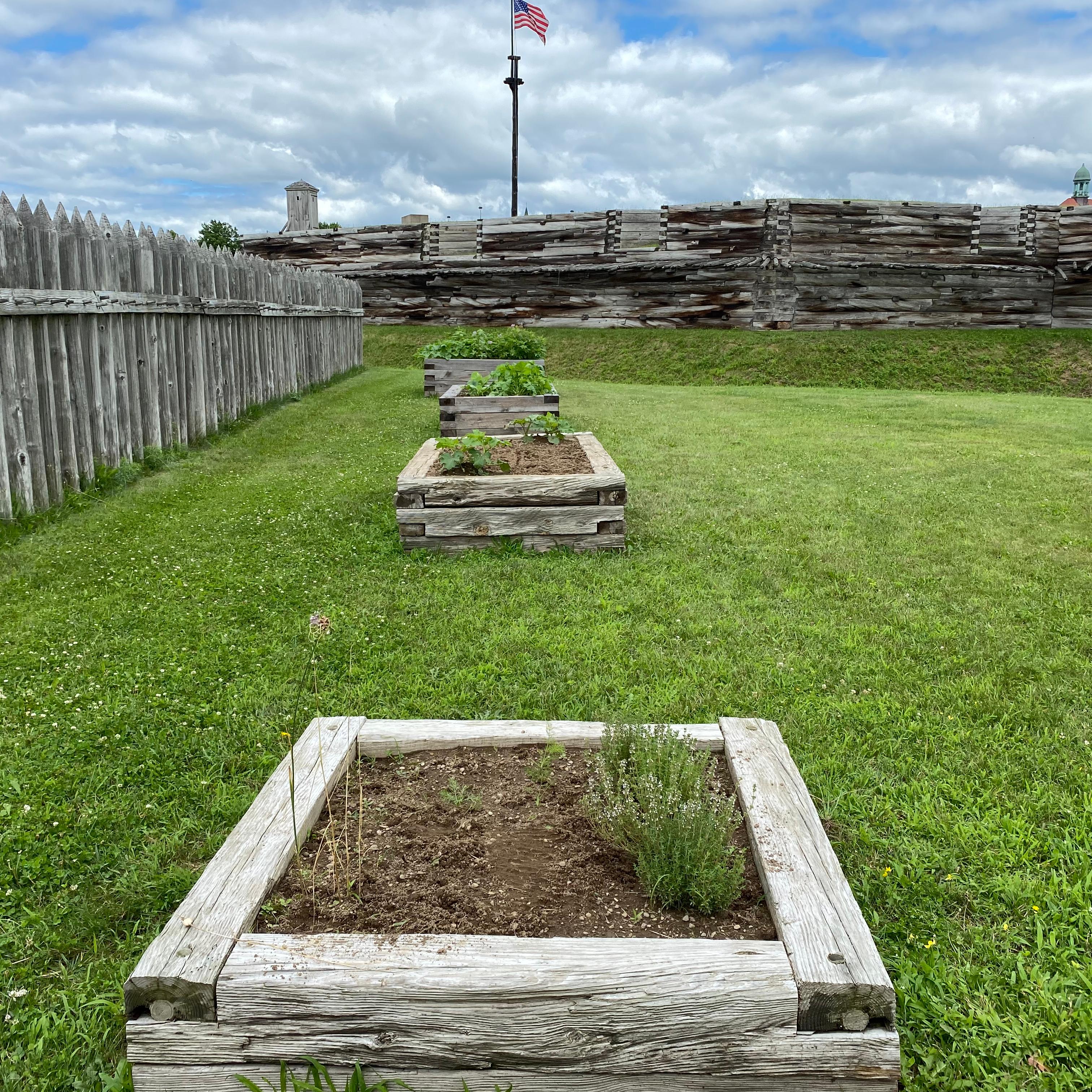 3 raised garden beds in a grassy area in front of the fort wall and inside the picket fence. 