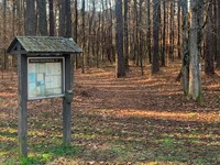 Information bulletin is to the left of the trailhead. Tree lined trail leads away from viewer.