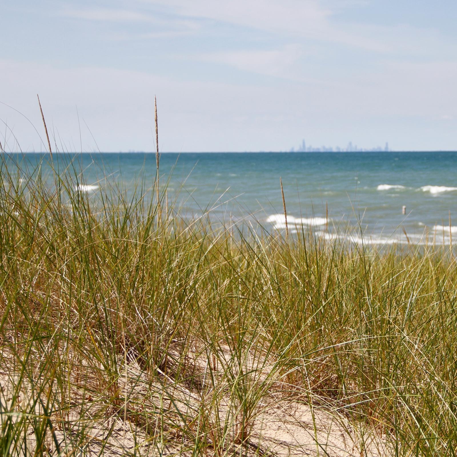 Scenic pan of West Beach shoreline behind a marram grass covered dune at Indiana Dunes National Park