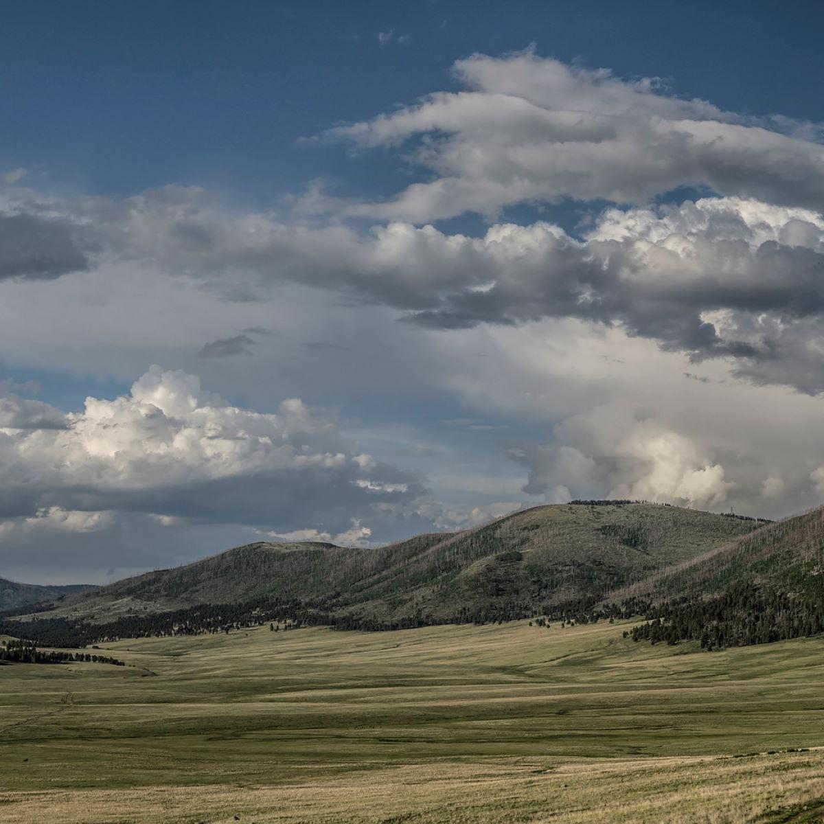 A sweeping montane grassland with forested hills in the background.