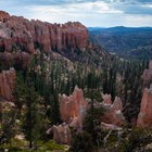 A sloping area of red rocks interspersed with trees.