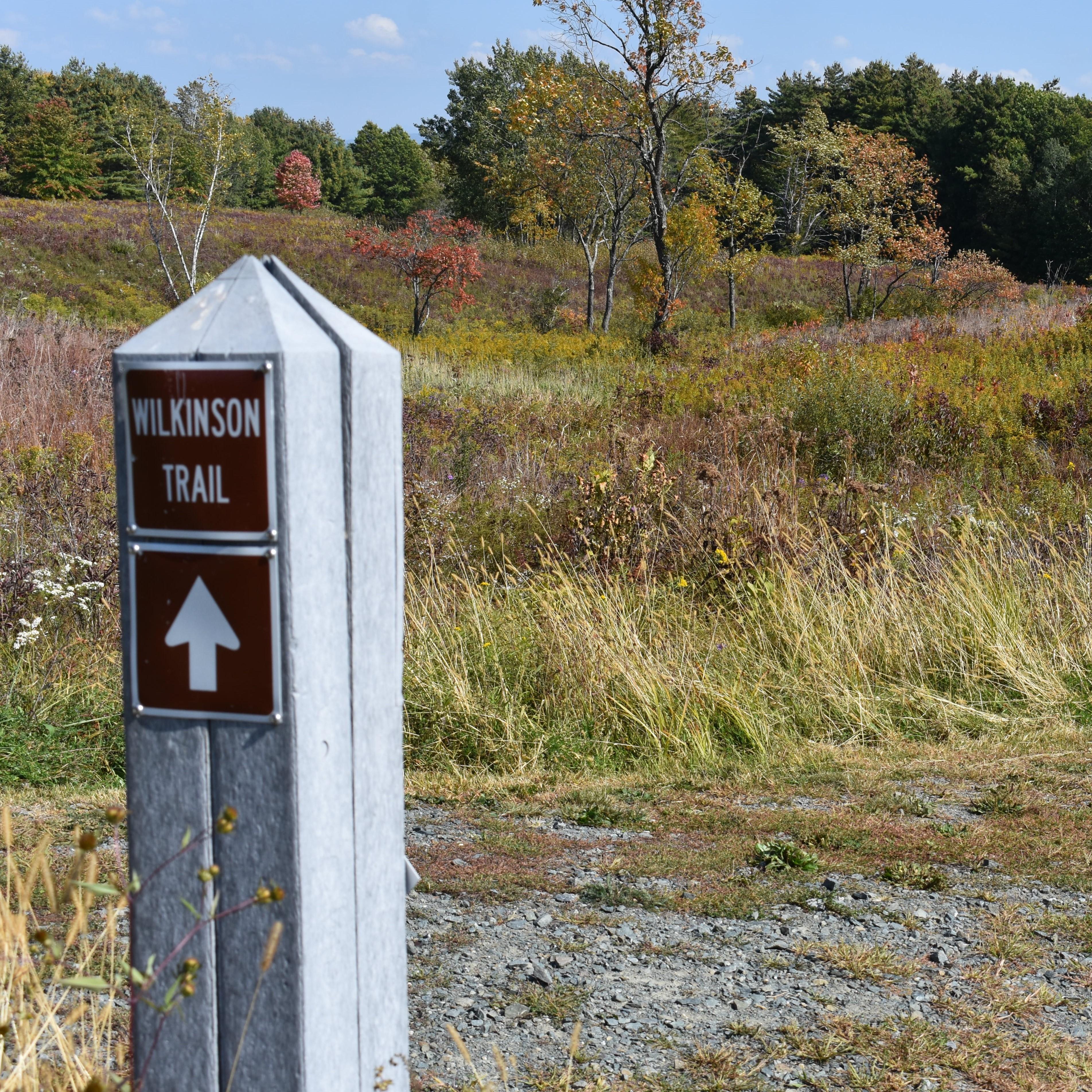 Wilkinson Trail marker in foreground, trail with 3 hikers cutting through meadow