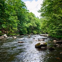 View of a lush, forested river. Water is clear and reflects blue sky. Rocks dot the riverbed.