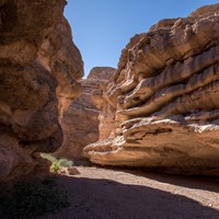 A trail cuts through a winding canyon.