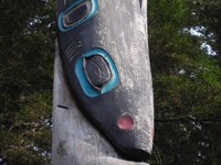 Close up of the Shark on the Raven- Shark Pole
