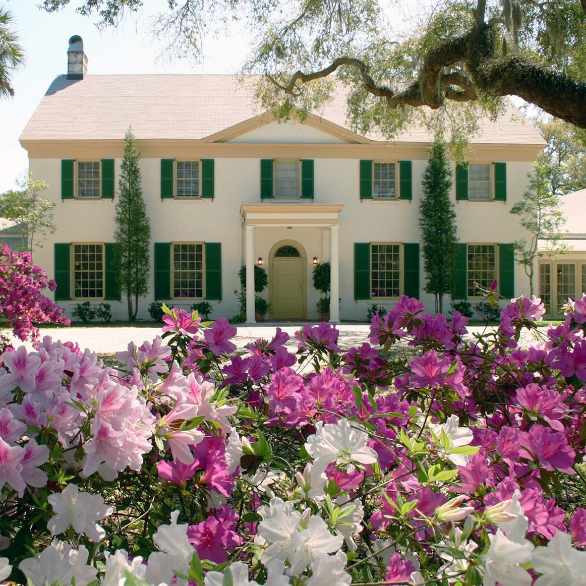 pink and white flowers in bloom in front of two story historic building with green shutters