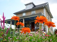 Orange and pink flowers in a garden with a stone house in the background.