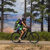 Two cyclists ride along paved forested path