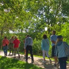 Seven adults walk down a tree-shaded park sidewalk.